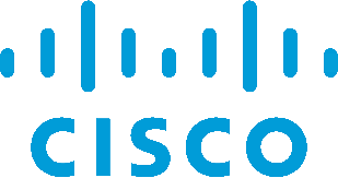 Cisco Partner