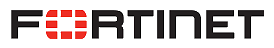 Fortinet Partner